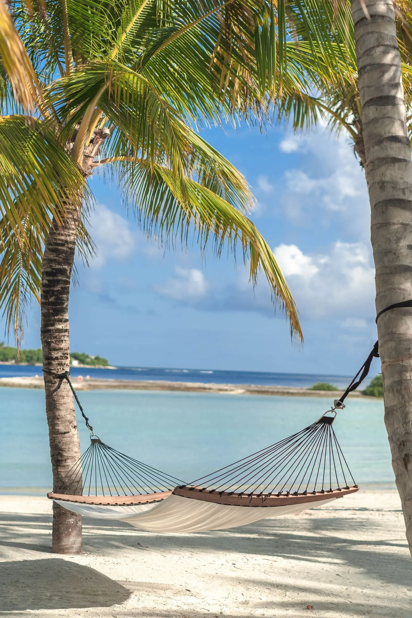 A hammock strung between palm trees on a tropical beach