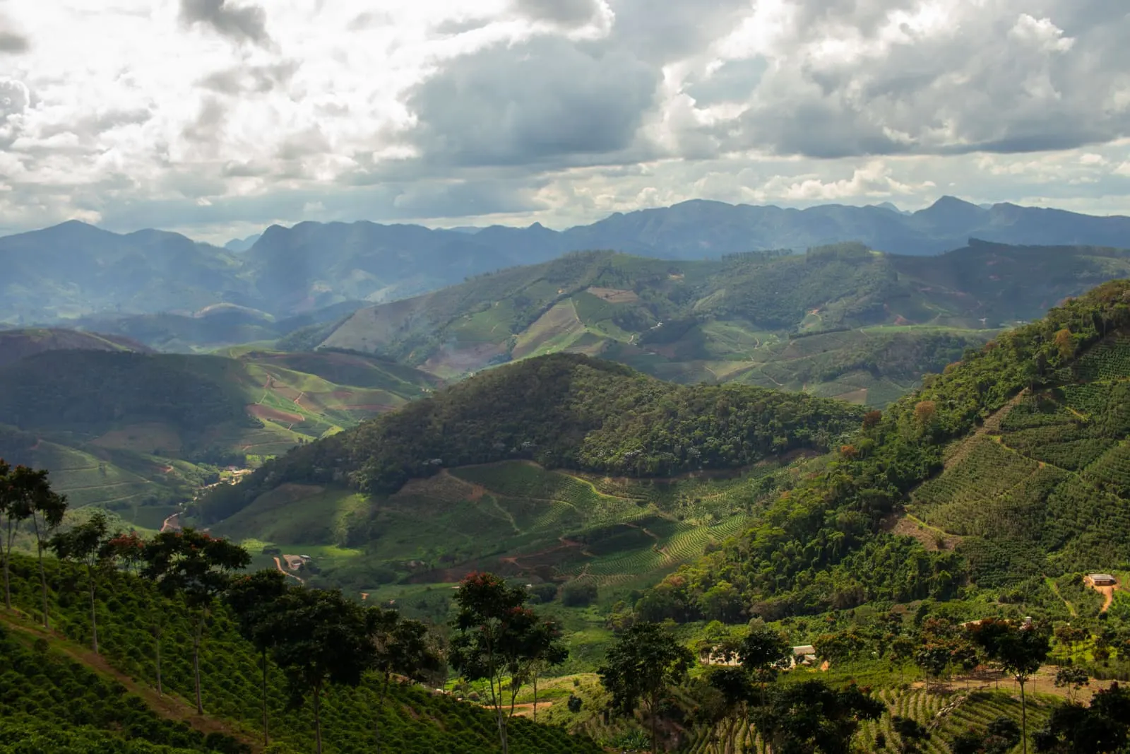 Terraced coffee plantations across the mountains of Serra do Caparaó, Brazil