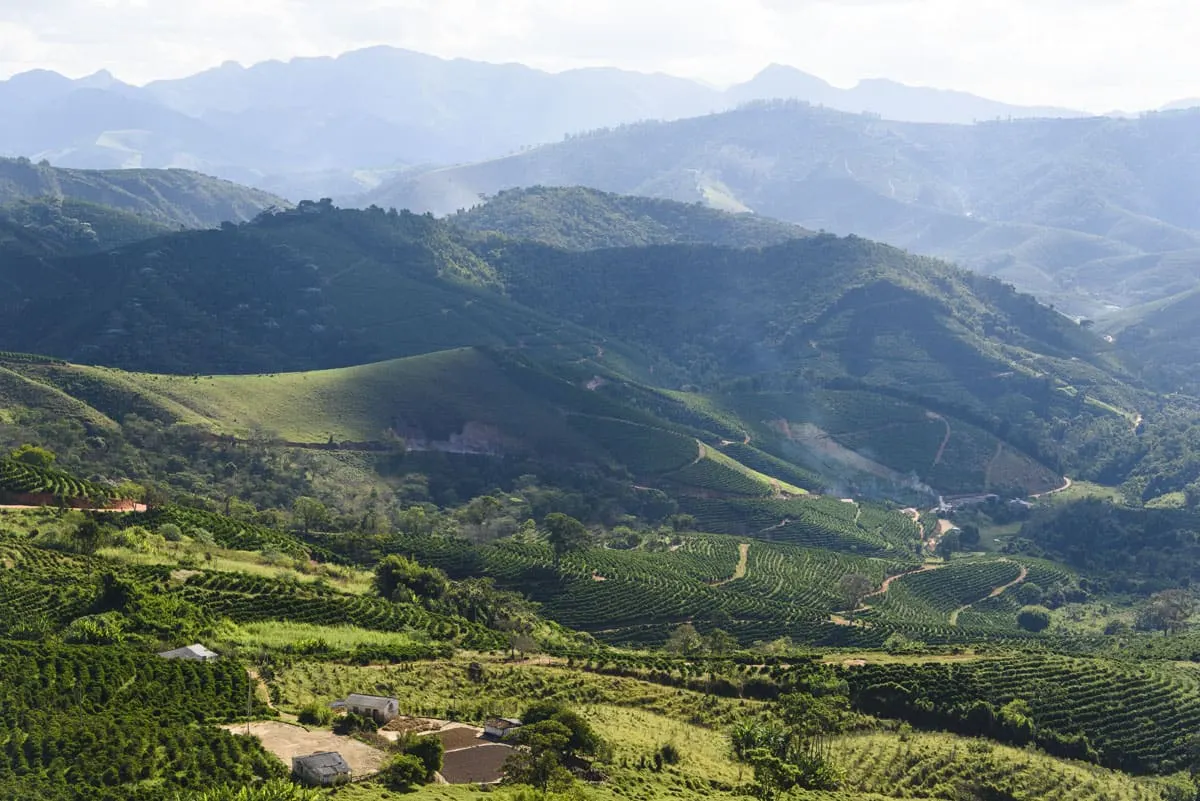 Coffee farm buildings nestled among terraced hillside plantations