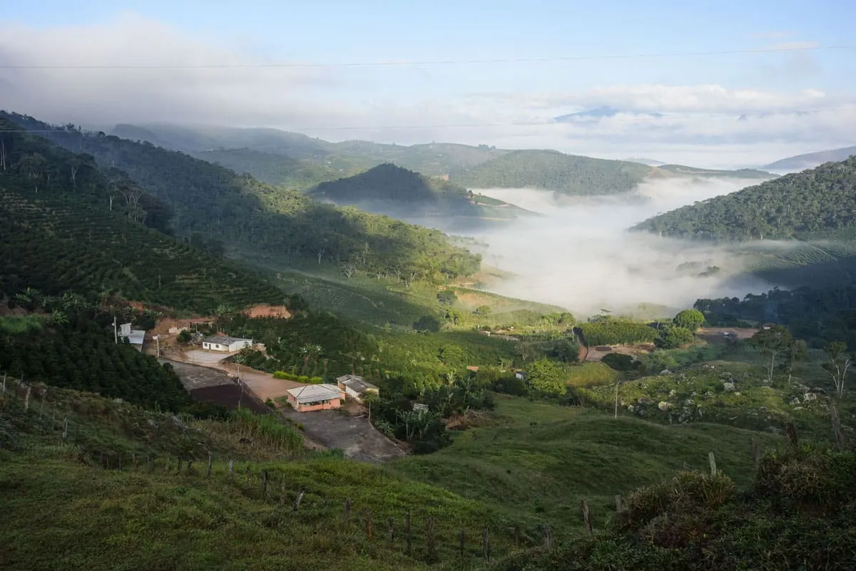 Morning mist over a coffee farm valley in Minas Gerais
