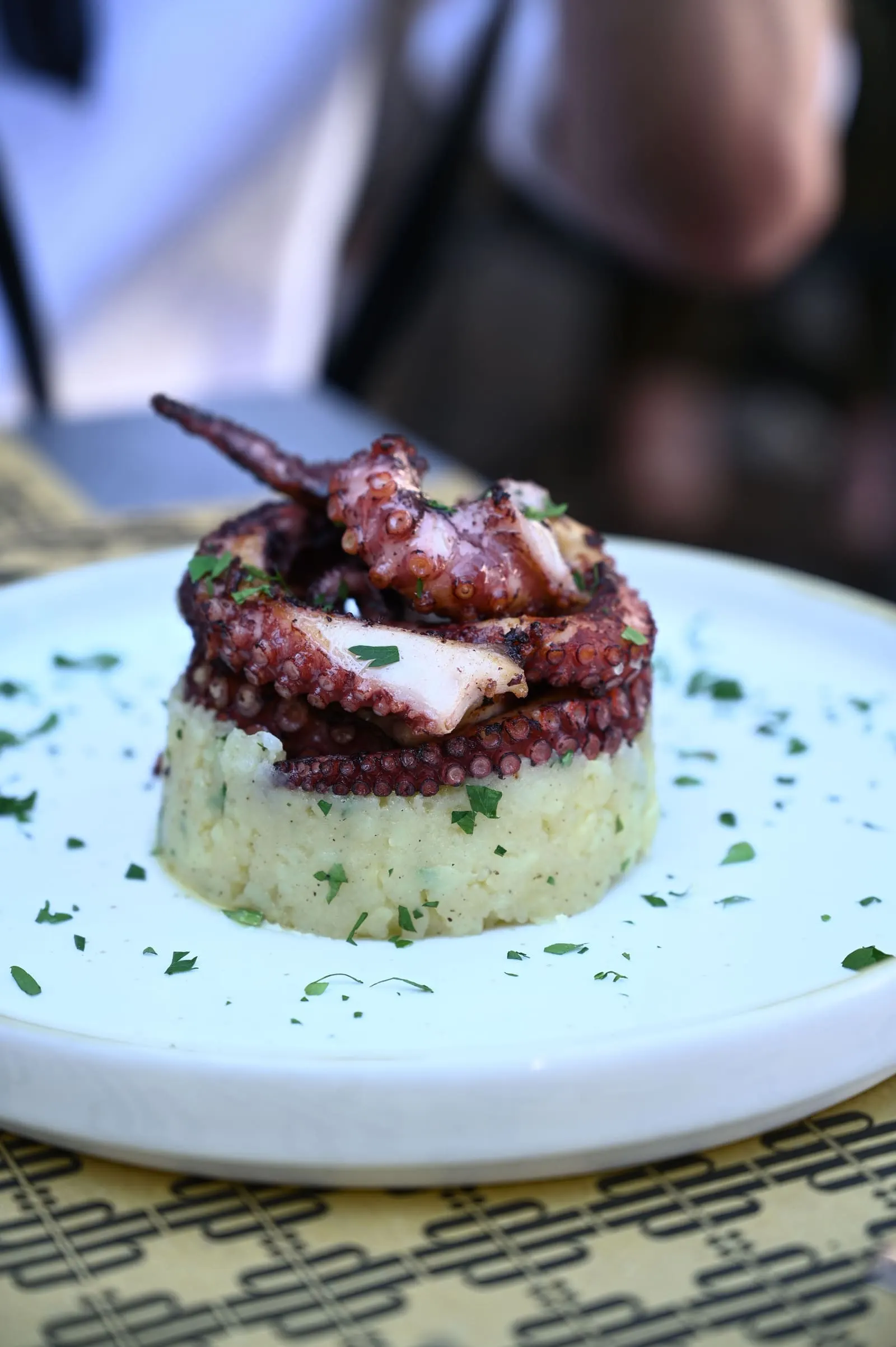 Grilled octopus polvo à lagareiro plated on mashed potatoes