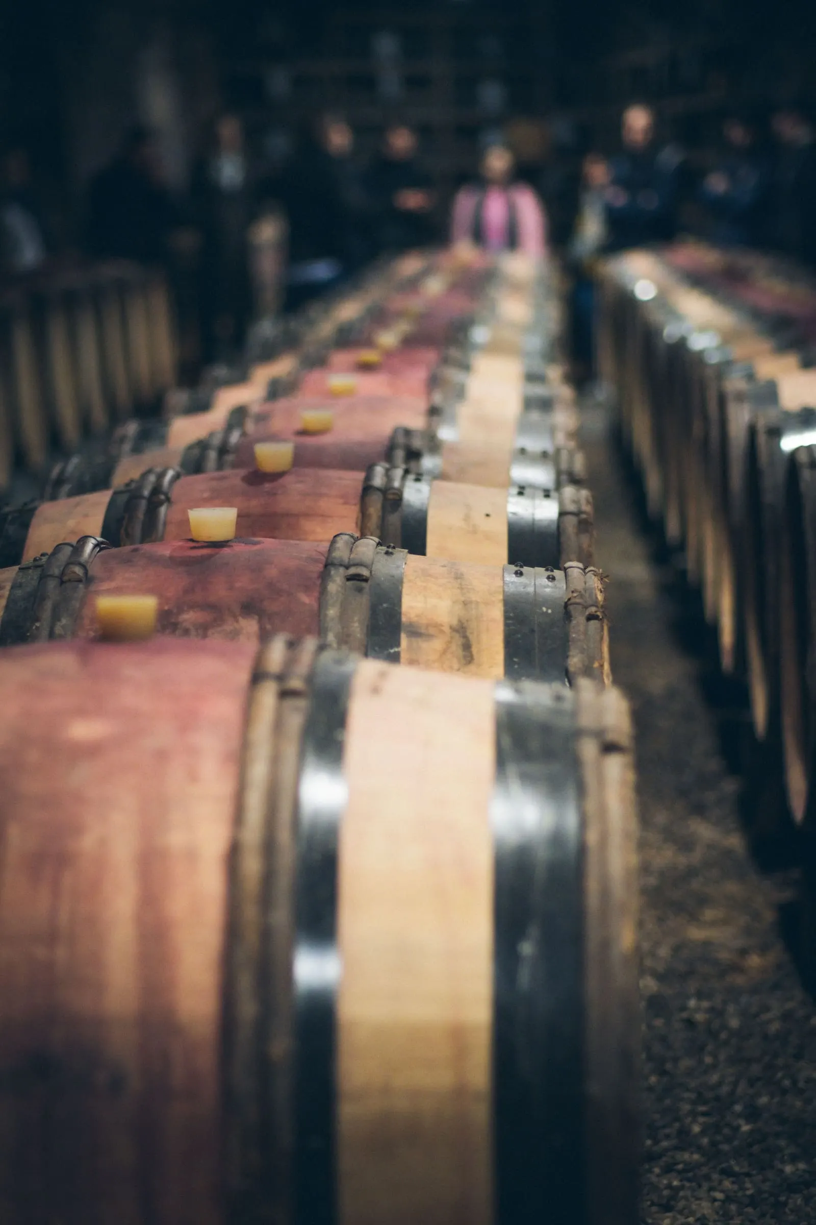 Rows of oak wine barrels aging in a Portuguese wine cellar